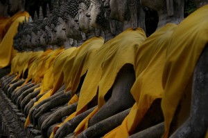 Buda - Ayutthaya