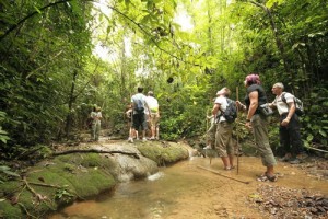 khao sok