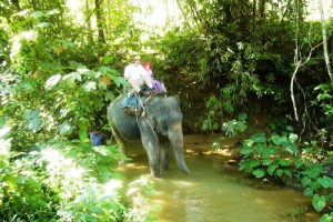 Tour Elefante