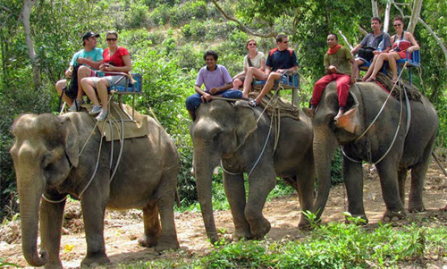 Trekking tour a lomos de elefante - Viajes y excursiones en Tailandia