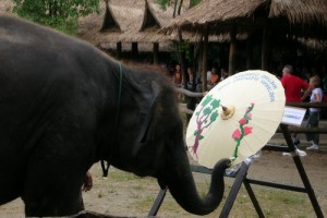 villaggio artigianale elefante