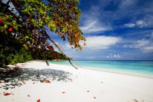 Koh Tachai - Playa