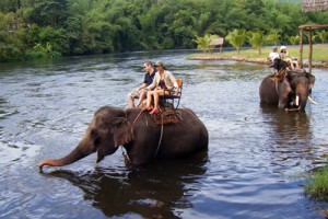 Kanchanaburi elefante