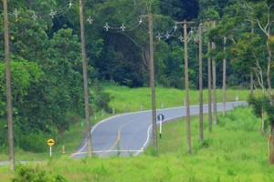 Khao Yai carretera